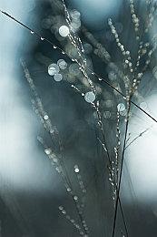 制作人&技术总监长文谈《黑神话：悟空》新预告：测试用2060  配置不会高